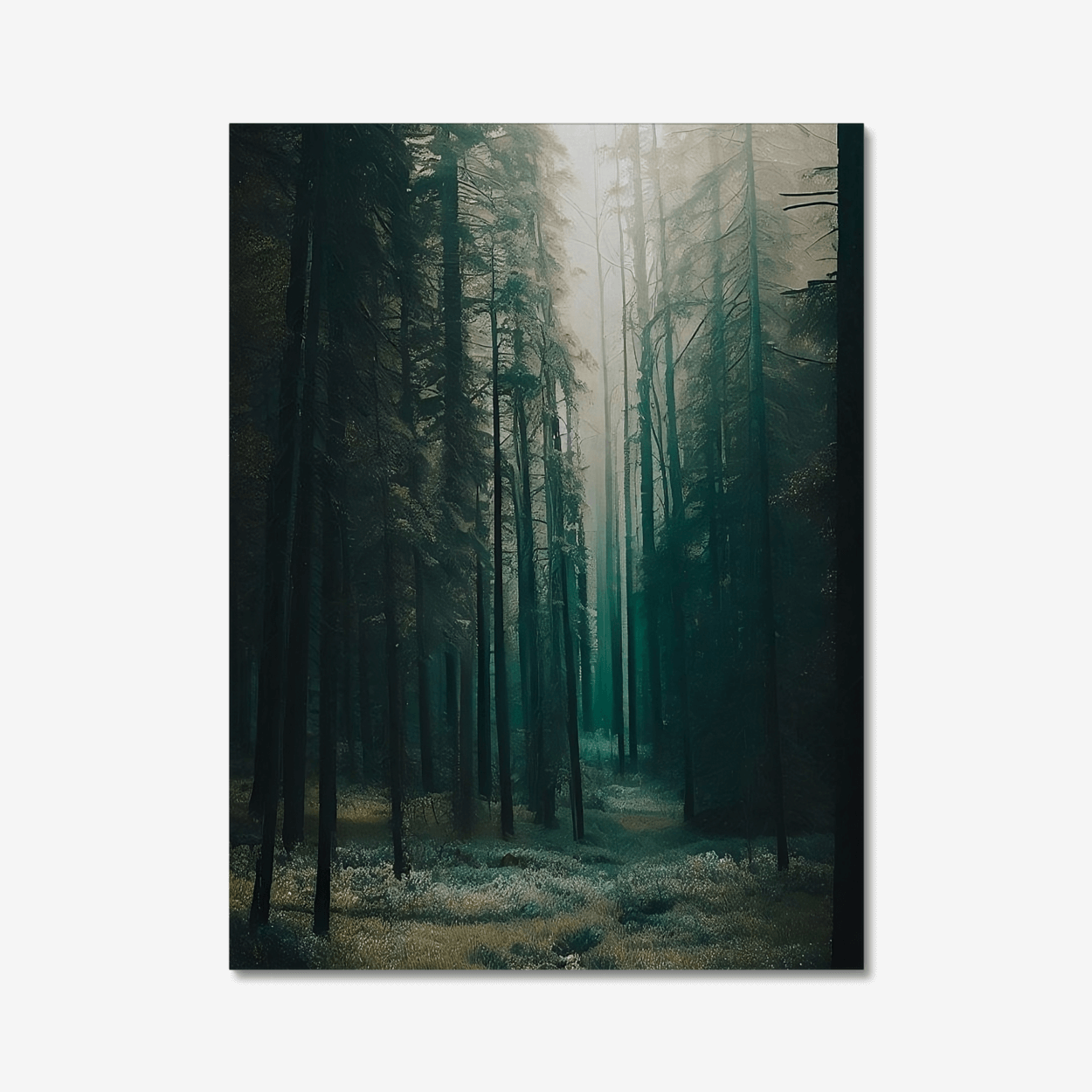Forest Feeling