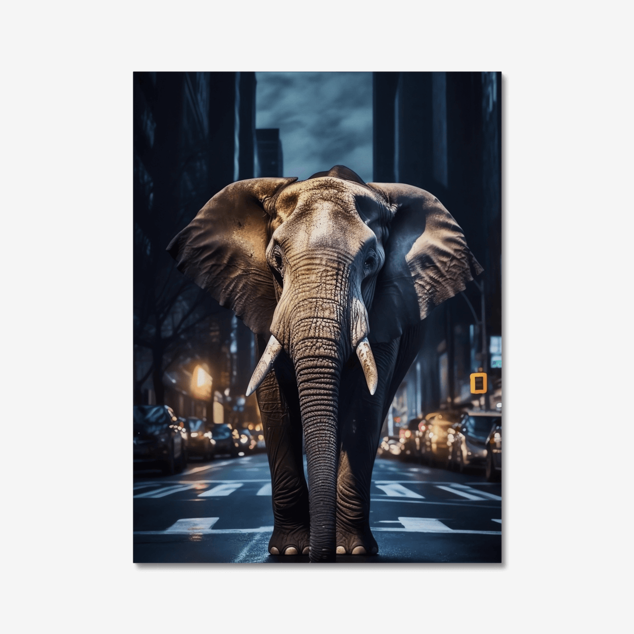 An Elephant in the City